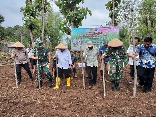 Disperta dan Kementan Perluas Area Tanam Padi