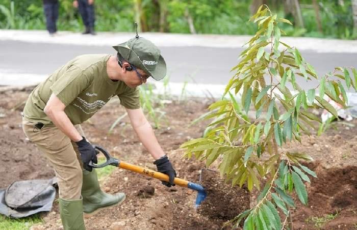 Peringatan Hari Menanam Pohon Indonesia 2024, Jelang Nataru PLN UIP JBTB Dukung Agroforestry, Tanam 617 Pohon Buah-buahan Berkayu