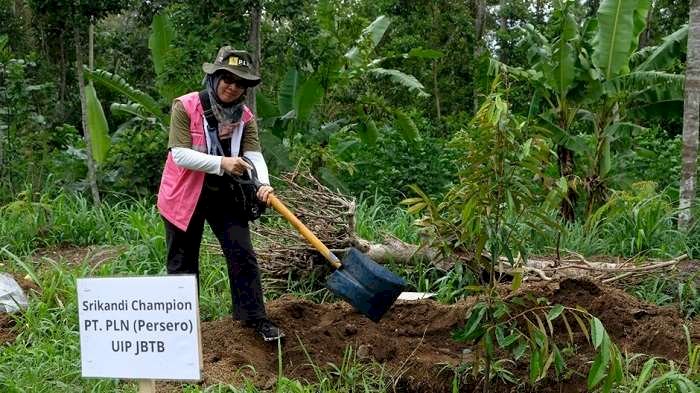 Jelang Nataru, Srikandi PLN UIP JBTB Sukseskan Peringatan Hari Menanam Pohon Indonesia 2024 di Desa Banyuanyar, Tanam 617 Pohon Buah-buahan Berkayu