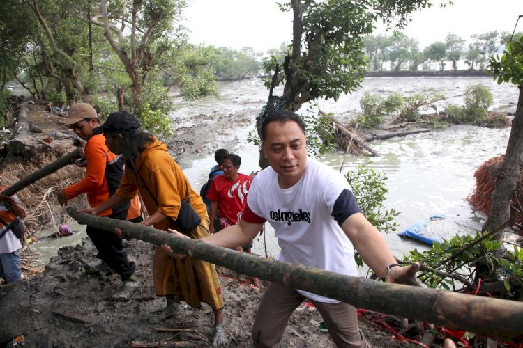 Pasca Jebol, Tinggikan Tanggul di Greges Timur