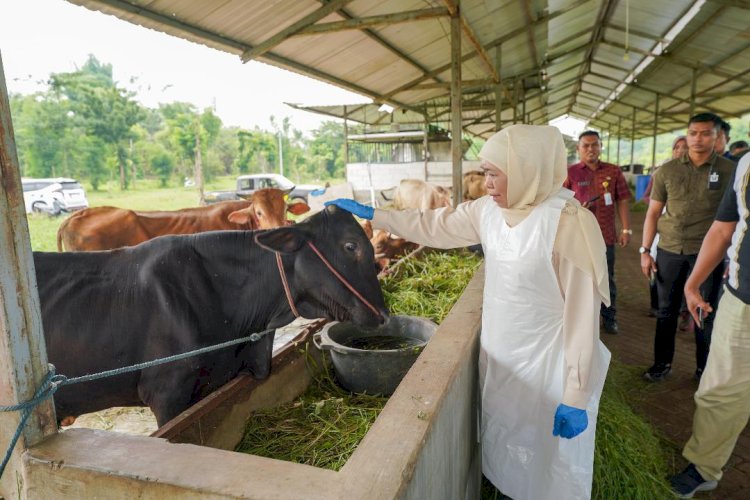 Cegah Wabah PMK, Proteksi Pasar Hewan Penting