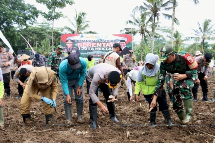 Banyuwangi Siapkan 650 Hektar Lahan